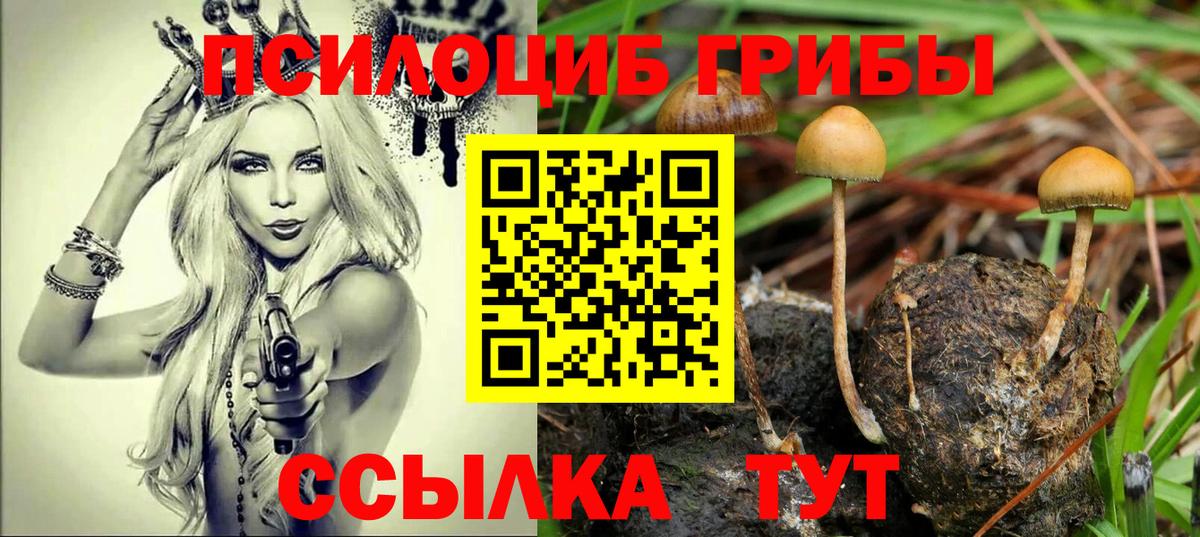 Галлюциногенные грибы мицелий Нововоронеж